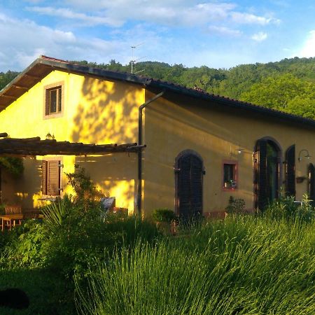 Podere Di Maggio - Casa Della Nonna 圣菲奥拉 外观 照片